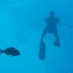 pescasubnet
