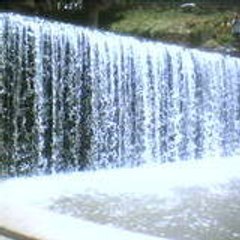 mellalya