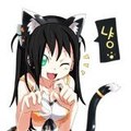 nyanko