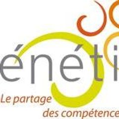 GLE VENETIS