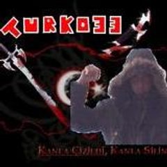 turko33