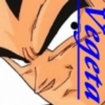 vegetaprincessj