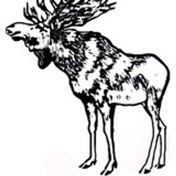 Grand Nord FILMS