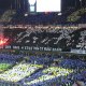 fcgb33sud
