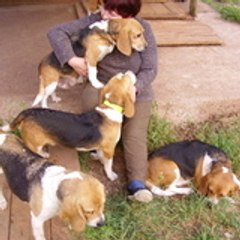 Cathy cartacatherine