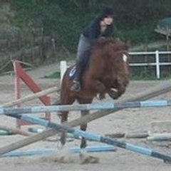 _-PomiLove-_