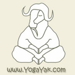 YogaYak
