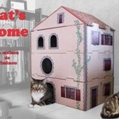 Cats-Home