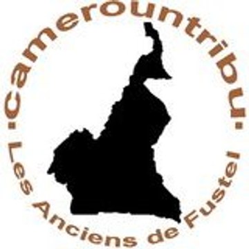 camerountribu
