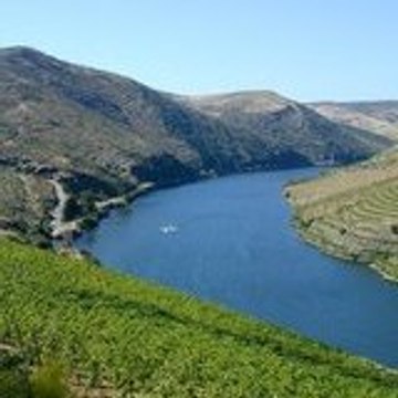 Videos_Portugal