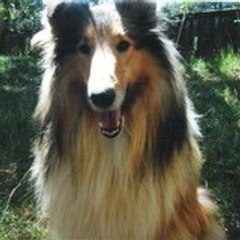 MALKO