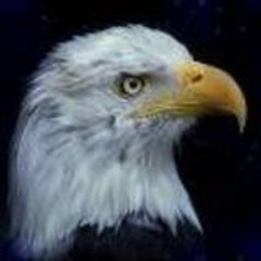 eagle-style