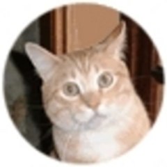 Bartlechat