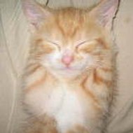 delcourt maria louisa