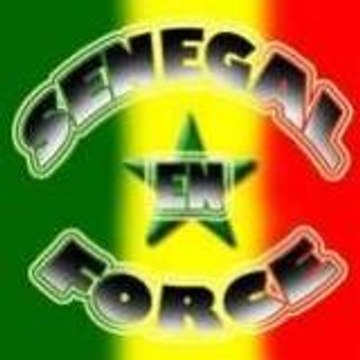 cheikh