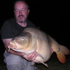 TALLON