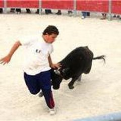 matthias_13
