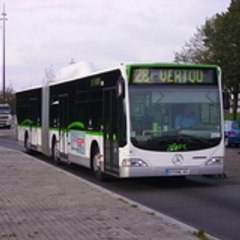 CitaroG