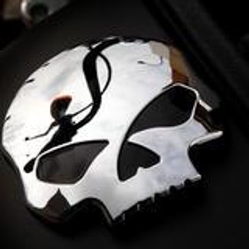 bartdanslamontagne Photographer chapter