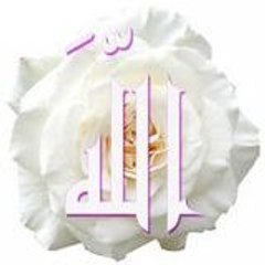 groupe essalam