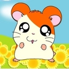 Lorie