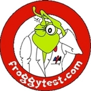 froggytest