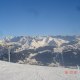 speedy_caucau