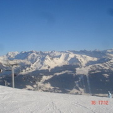 speedy_caucau