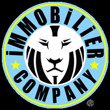 Immobilier company