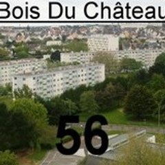 yoch56