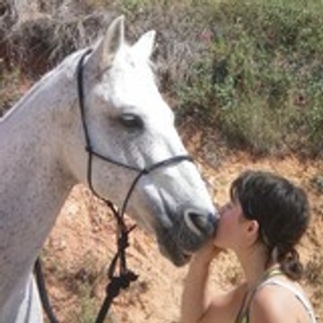 aurore