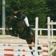 piwizz29