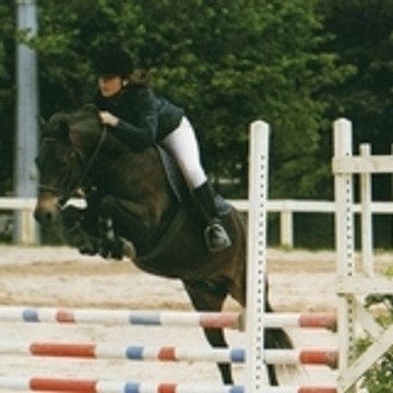 piwizz29