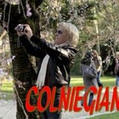 colniegian Jipe