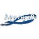 www.jigging.fr