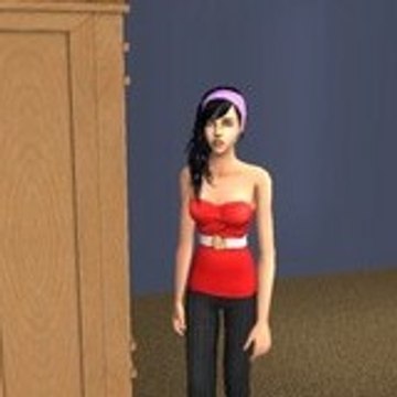unsimdeuxsims