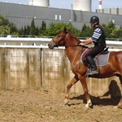 VAN COUTEREN THIERRY