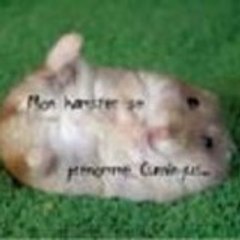 pince38