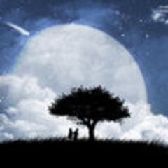Le_White_Wizard