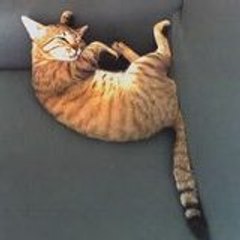 MARIA ANTONIETTA DANIELE