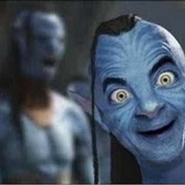statiboy
