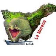 Centre de plongee La Morena