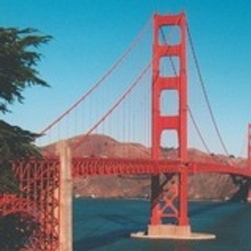 .............................