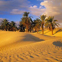 tunisie