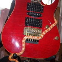 Python