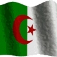 alialger_03