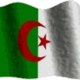alialger_03