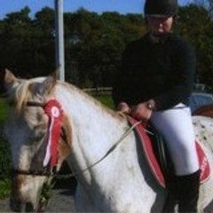 horse-life