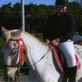 horse-life