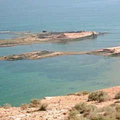 daoudi mohamed